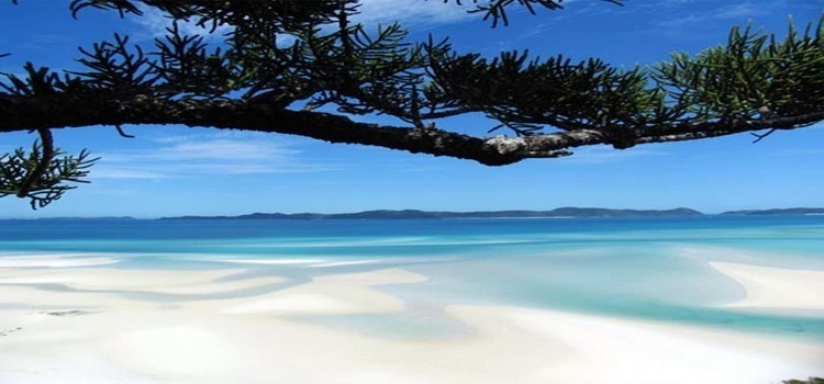 หาดไวท์เฮเวน หมู่เกาะไวท์ซันเดย์ ประเทศออสเตรเลีย