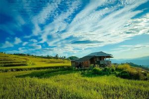 10 หมู่บ้านในไทยที่น่ารัก ใกล้ชิดธรรมชาติ เหมาะแก่การชาร์จแบตให้ร่างกาย 22