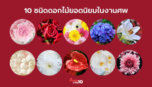 10 ร้าน รับจัดดอกไม้งานศพ ในกรุงเทพมหานคร 23